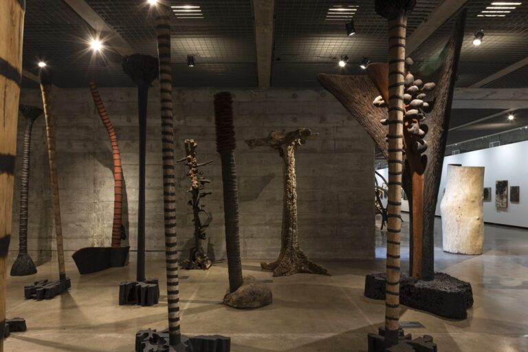 Frans-Krajcberg-for-an-Architecture-of-Nature22-at-the-MuBE-Sao-Paulo.-Photo-Leonardo-Finotti.-Courtesy-of-MuBE.3-scaled