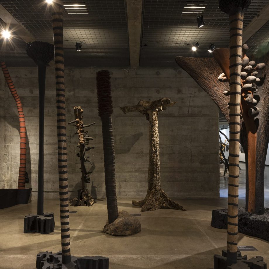 Frans-Krajcberg-for-an-Architecture-of-Nature22-at-the-MuBE-Sao-Paulo.-Photo-Leonardo-Finotti.-Courtesy-of-MuBE.3-scaled