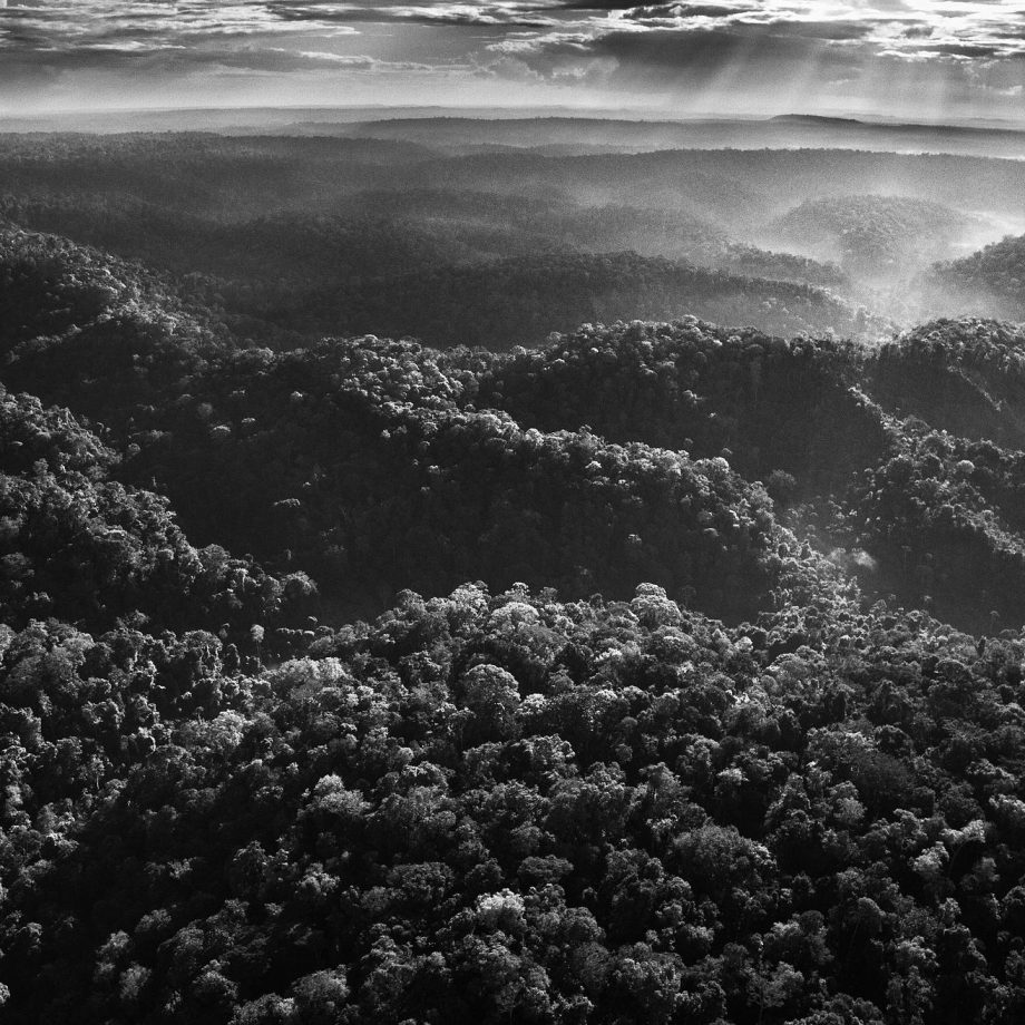 image_processing20250225-2-iv9hwk